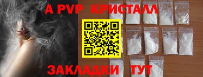 дмт Бийск