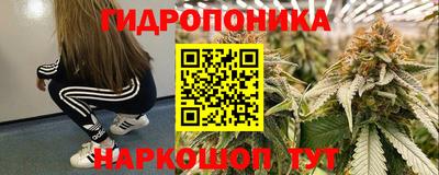 дмт Бийск
