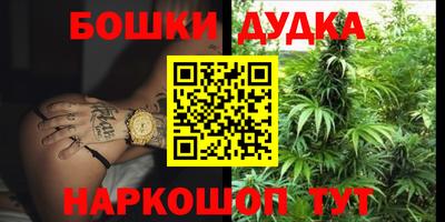 крисы Беслан