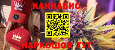 крисы Беслан