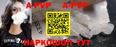 дмт Кингисепп