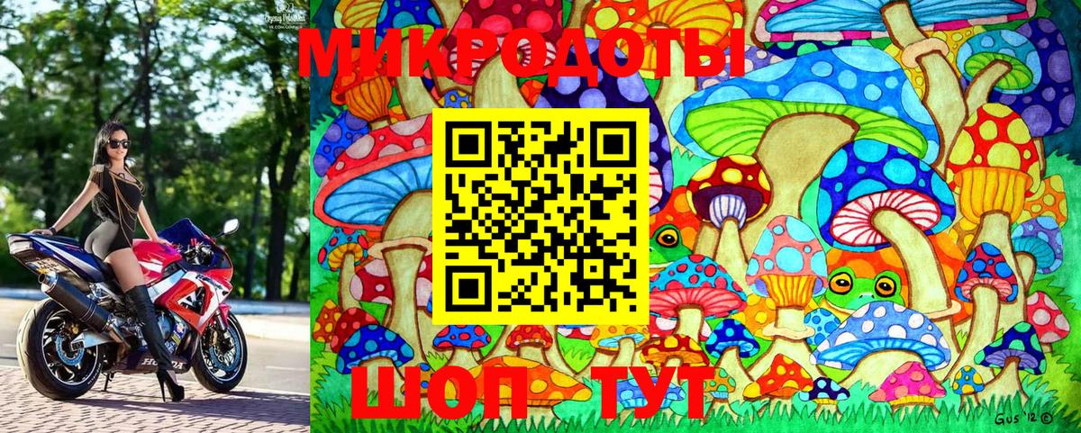 Галлюциногенные грибы MAGIC MUSHROOMS  Вход с VPN  купить наркоту  Волхов  Псилоцибиновые грибы мухоморы 